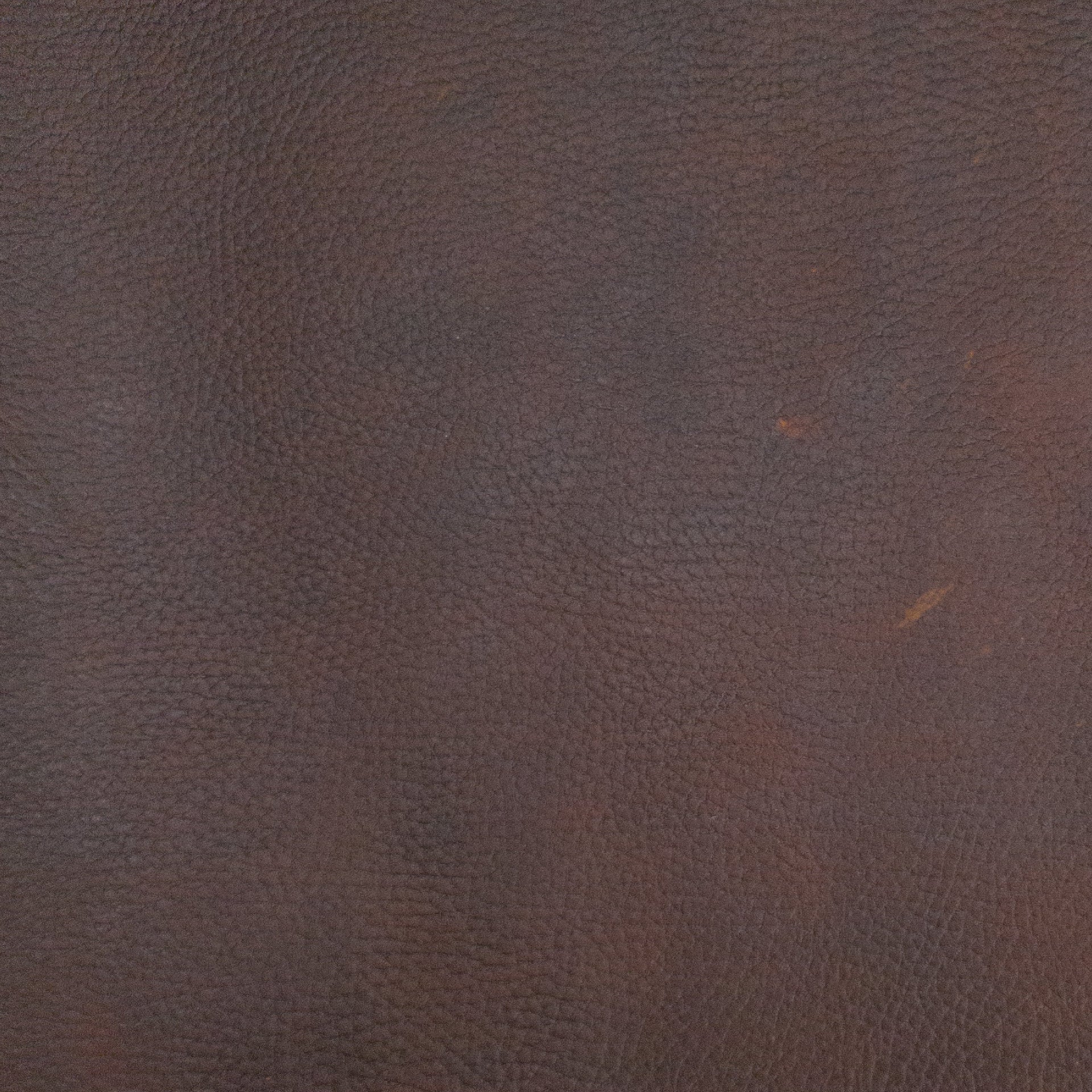 Pull-up Browns, 4-6 oz, 4-9 Sq Ft, Oil Tan Project Pieces, Medium to Dark / 4-6 / Grainy | The Leather Guy