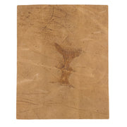 Grunge Branded Pre-cuts, 5-6 oz Oil Tan, Limited Stock Pre-cuts, (8"x10") Western Tan - Chrome Tan | The Leather Guy