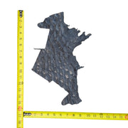 Pirarucu Amazon Bass Leather, Under 1 - 1 Sq Ft Project Pieces, Deep Blue / Under 1 Sq Ft / 2 | The Leather Guy