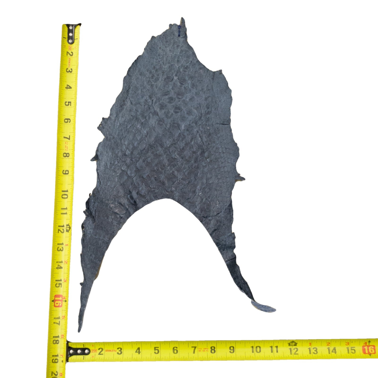 Pirarucu Amazon Bass Leather, Under 1 - 1 Sq Ft Project Pieces, Deep Blue / Under 1 Sq Ft / 4 | The Leather Guy