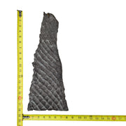 Pirarucu Amazon Bass Leather, Under 1 - 1 Sq Ft Project Pieces, Icy Black / Under 1 Sq Ft / 2 | The Leather Guy