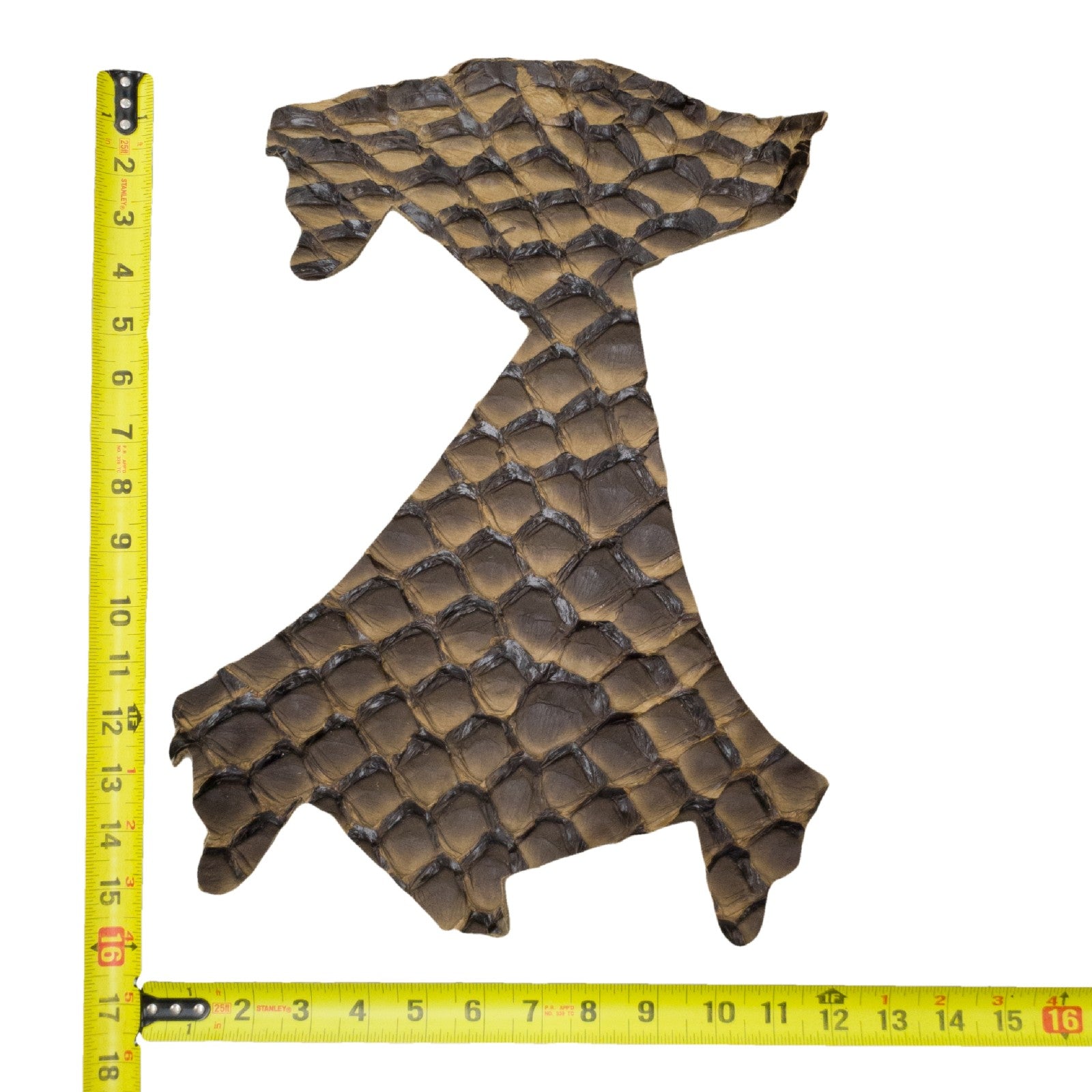 Pirarucu Amazon Bass Leather, Under 1 - 1 Sq Ft Project Pieces, Black and Tan / Under 1 Sq Ft / 1 | The Leather Guy