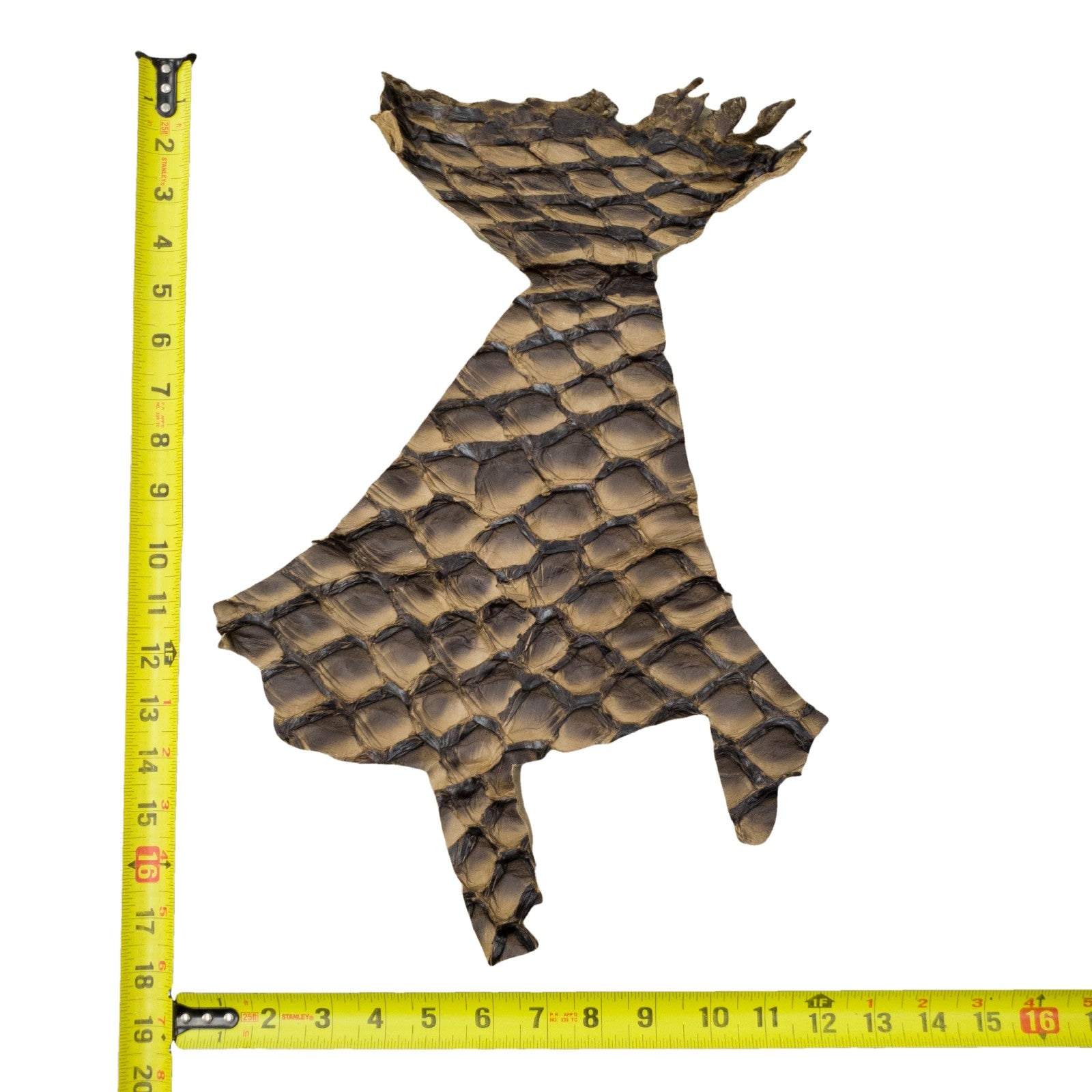 Pirarucu Amazon Bass Leather, Under 1 - 1 Sq Ft Project Pieces, Black and Tan / Under 1 Sq Ft / 3 | The Leather Guy