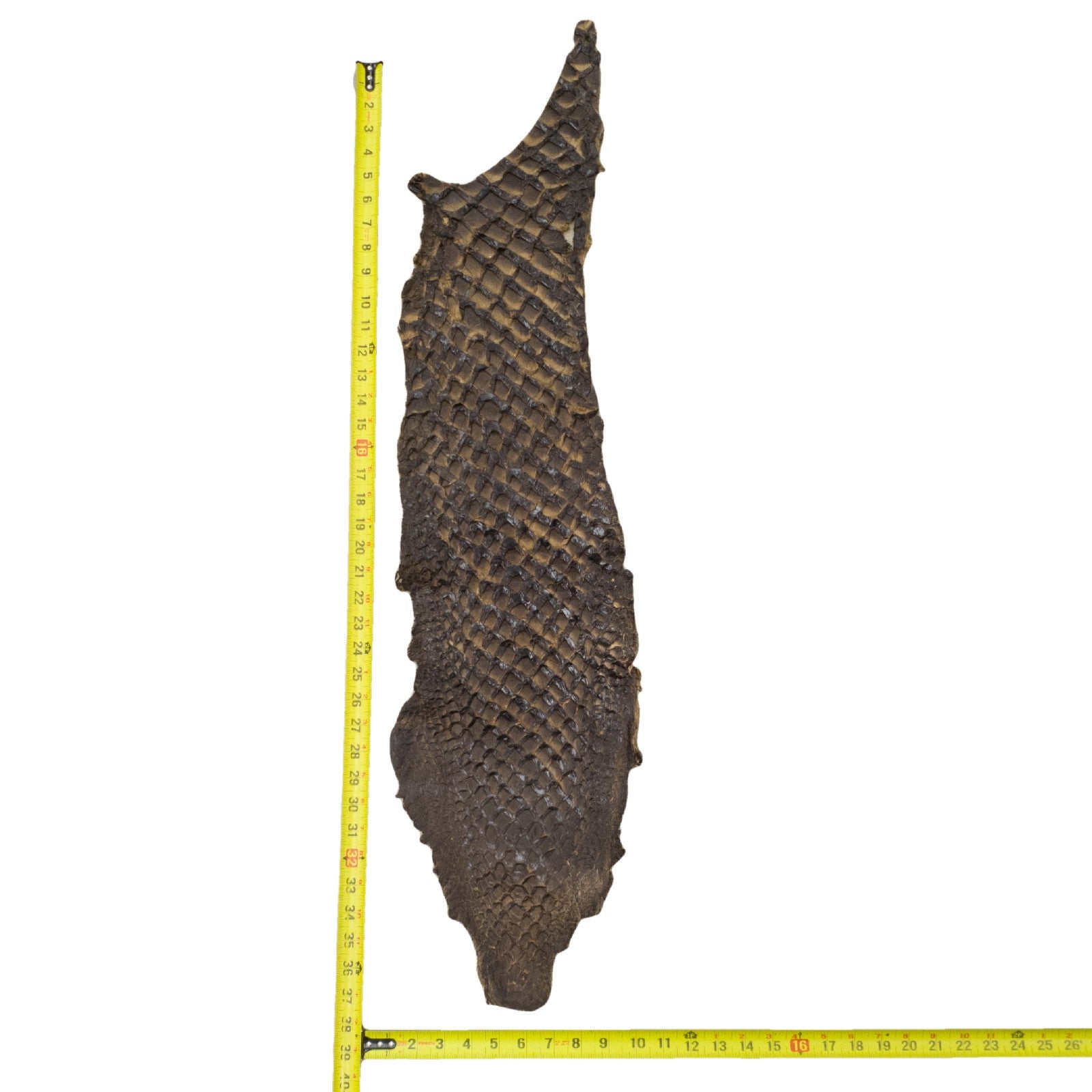 Pirarucu Amazon Bass Leather, Under 1 - 1 Sq Ft Project Pieces, Black and Tan / 1 / 1 | The Leather Guy