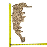 Pirarucu Amazon Bass Leather, Under 1 - 1 Sq Ft Project Pieces, Light Browns / Under 1 Sq Ft / 1 | The Leather Guy