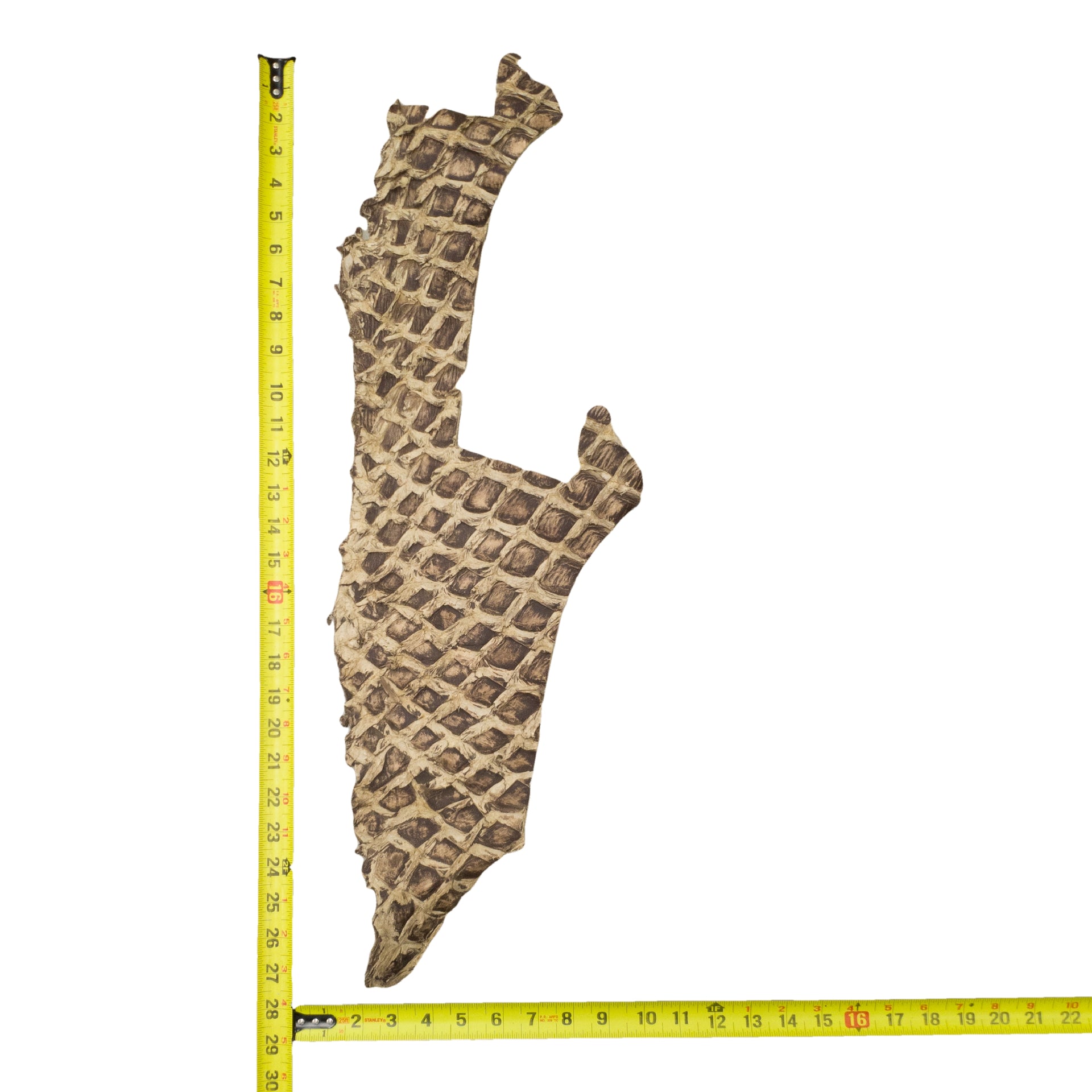 Pirarucu Amazon Bass Leather, Under 1 - 1 Sq Ft Project Pieces, Light Browns / Under 1 Sq Ft / 5 | The Leather Guy