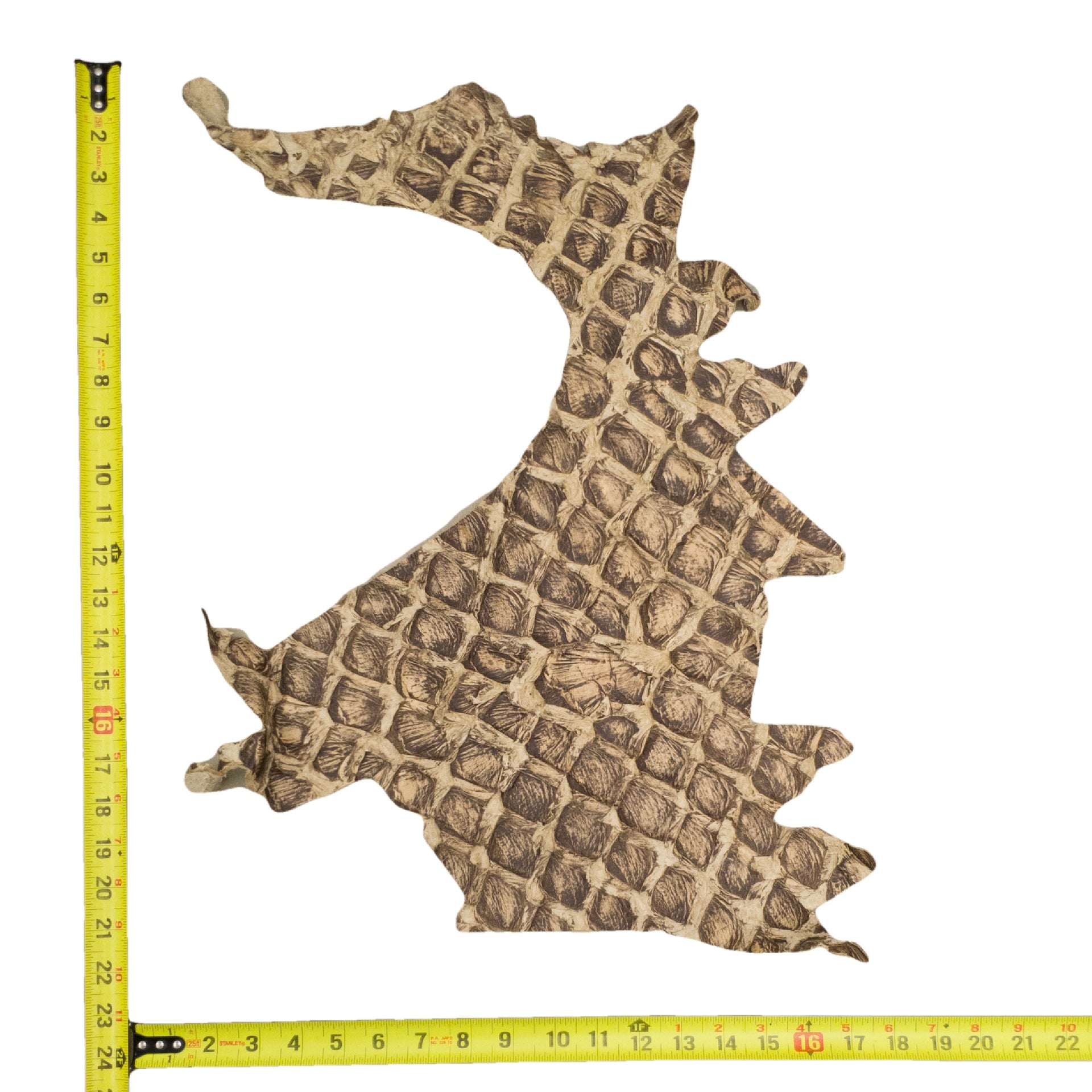 Pirarucu Amazon Bass Leather, Under 1 - 1 Sq Ft Project Pieces, Light Browns / Under 1 Sq Ft / 6 | The Leather Guy