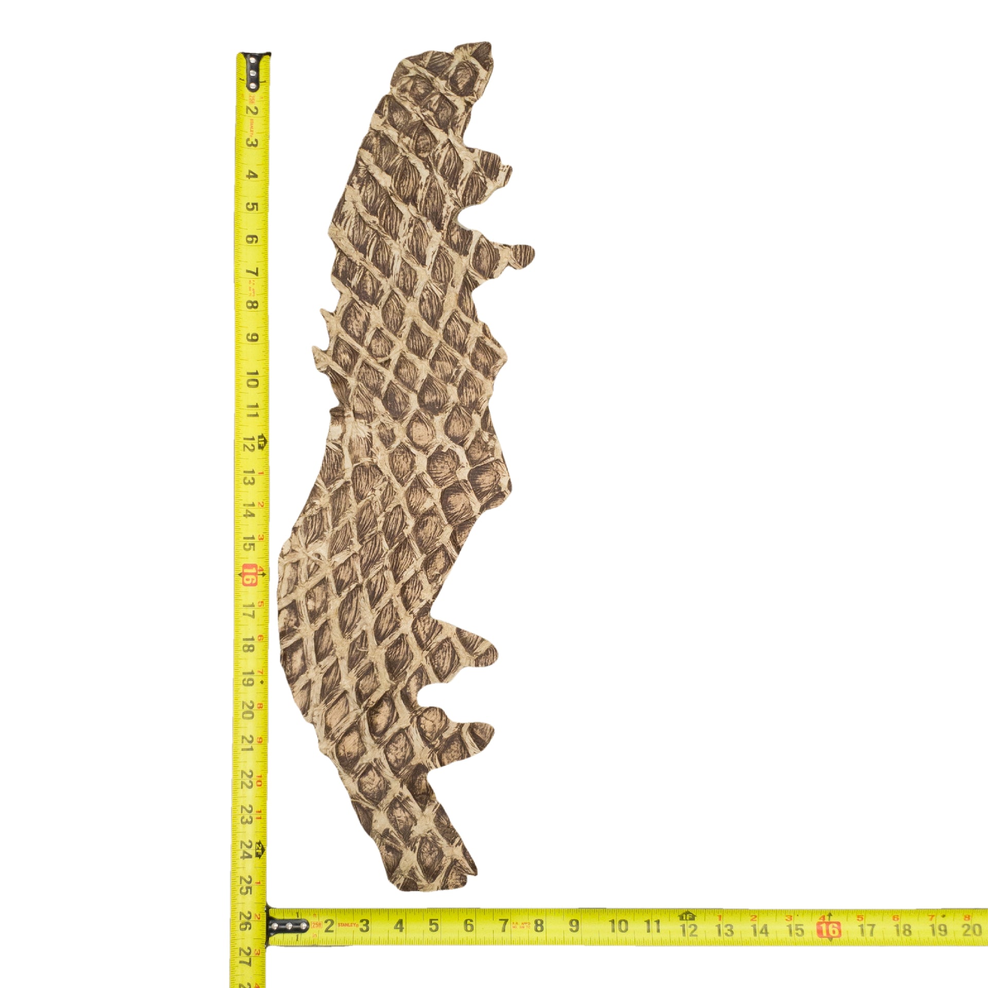 Pirarucu Amazon Bass Leather, Under 1 - 1 Sq Ft Project Pieces, Light Browns / Under 1 Sq Ft / 7 | The Leather Guy