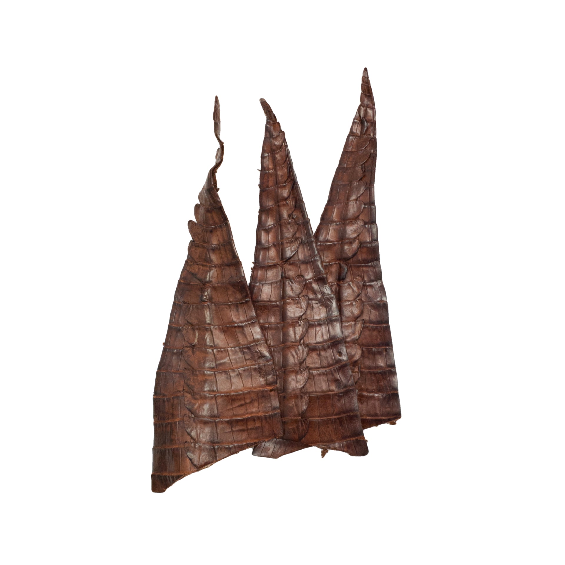 Caiman Project Pieces Various Colors Genuine Hide, Tail / Reddish Brown | The Leather Guy