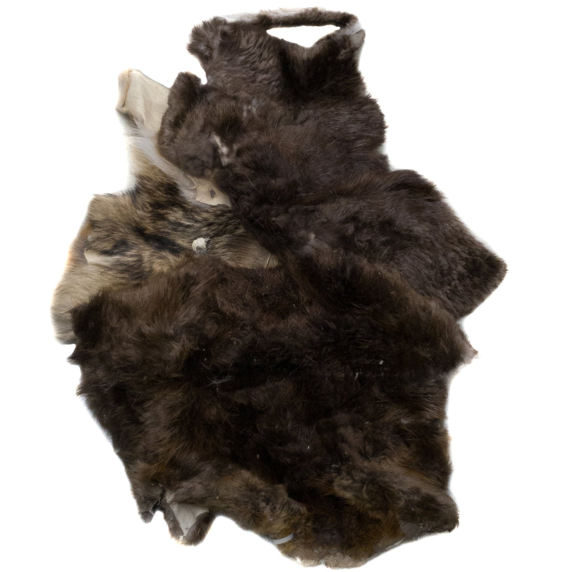 Fur Scrap - Fox Coyote Raccoon Beaver - Craft Pieces 1 pound Mix Small/Med Skins, | The Leather Guy