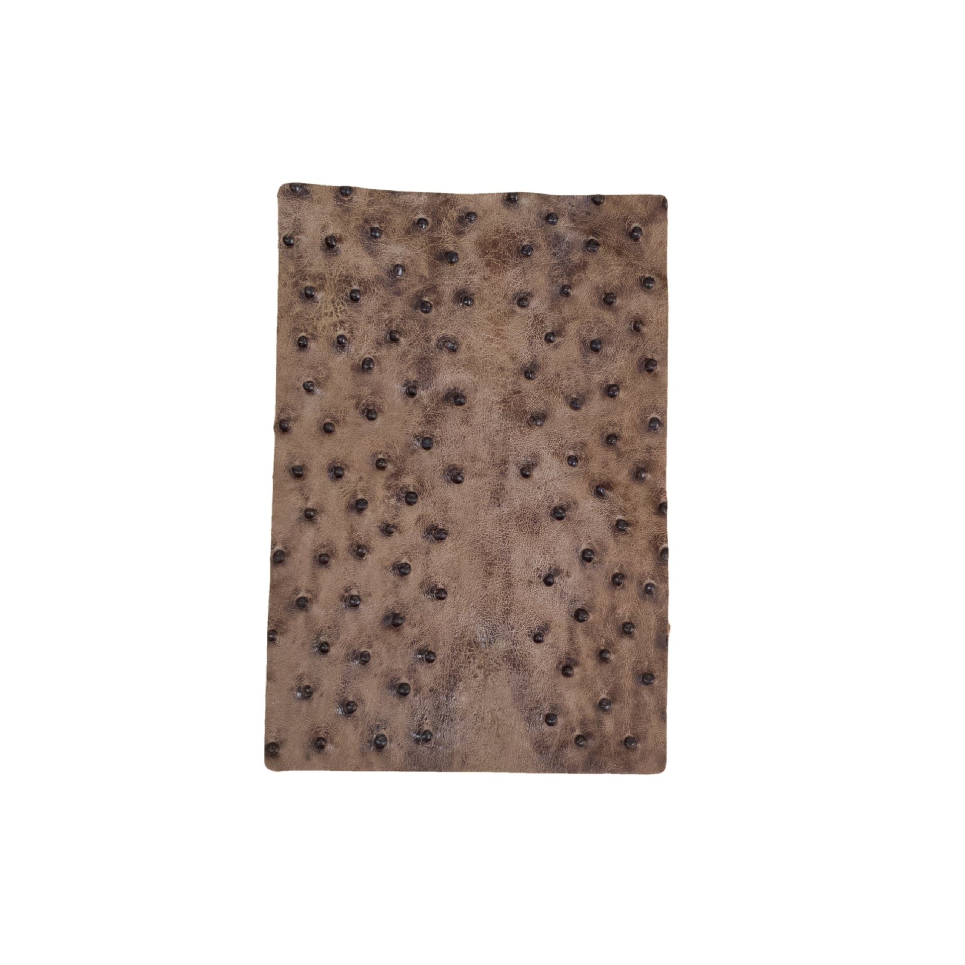 Genuine Ostrich Nonstock Pre-cuts, 3-5 oz, Various Colors, Faded Taupe / 4 x 6 | The Leather Guy