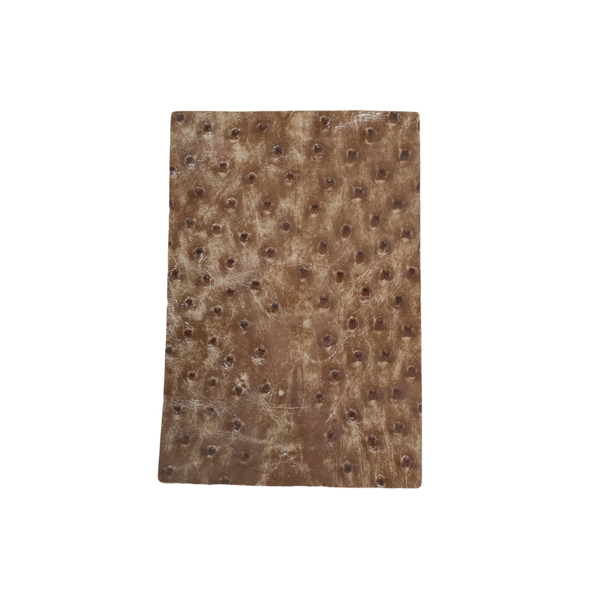 Genuine Ostrich Nonstock Pre-cuts, 3-5 oz, Various Colors, Tree Bark Brown / 4 x 6 | The Leather Guy