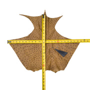 Ostrich, 1-2 Sq Ft, Project Pieces, Medium Tans / 1 Sq Ft / 2 | The Leather Guy