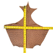 Ostrich, 1-2 Sq Ft, Project Pieces, Medium Browns / 1 Sq Ft / 1 | The Leather Guy