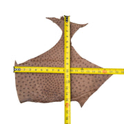 Ostrich, 1-2 Sq Ft, Project Pieces, Medium Browns / Under 1 Sq Ft / 1 | The Leather Guy