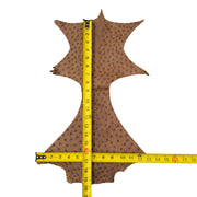 Ostrich, 1-2 Sq Ft, Project Pieces, Medium Browns / Under 1 Sq Ft / 2 | The Leather Guy