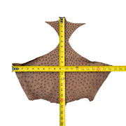Ostrich, 1-2 Sq Ft, Project Pieces, Medium Browns / Under 1 Sq Ft / 3 | The Leather Guy
