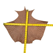 Ostrich, 1-2 Sq Ft, Project Pieces, Medium Browns / 1 Sq Ft / 2 | The Leather Guy