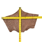 Ostrich, 1-2 Sq Ft, Project Pieces, Medium Browns / Under 1 Sq Ft / 4 | The Leather Guy