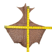 Ostrich, 1-2 Sq Ft, Project Pieces, Medium Browns / 1 Sq Ft / 3 | The Leather Guy