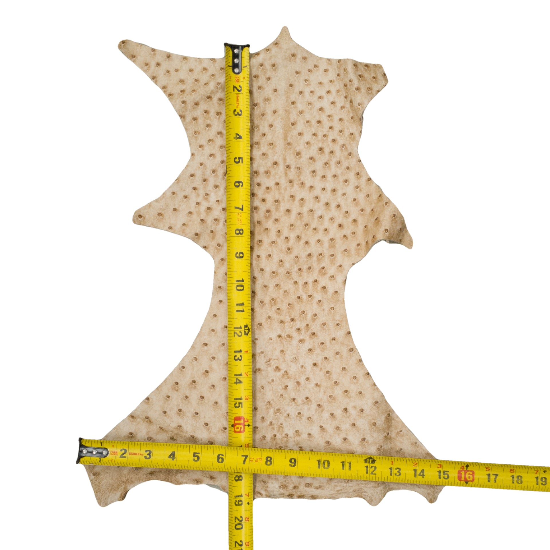 Ostrich, 1-2 Sq Ft, Project Pieces, | The Leather Guy