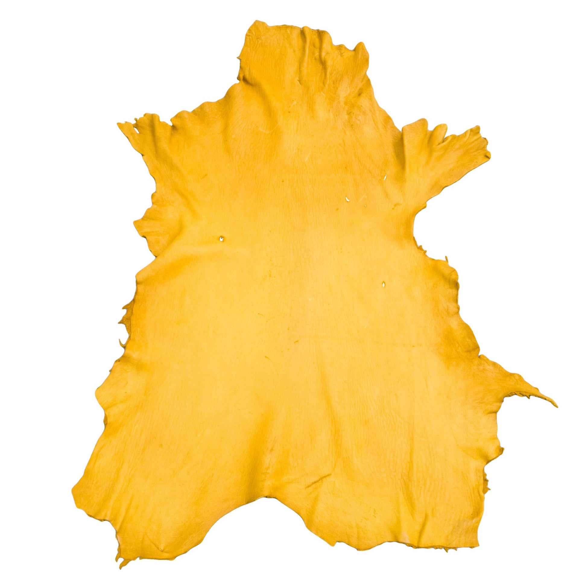 Gold, 3-5 oz, 8-16 SF, Colorado Buckskin Deer Hides, Economy / 5-7 / 3-4 oz | The Leather Guy