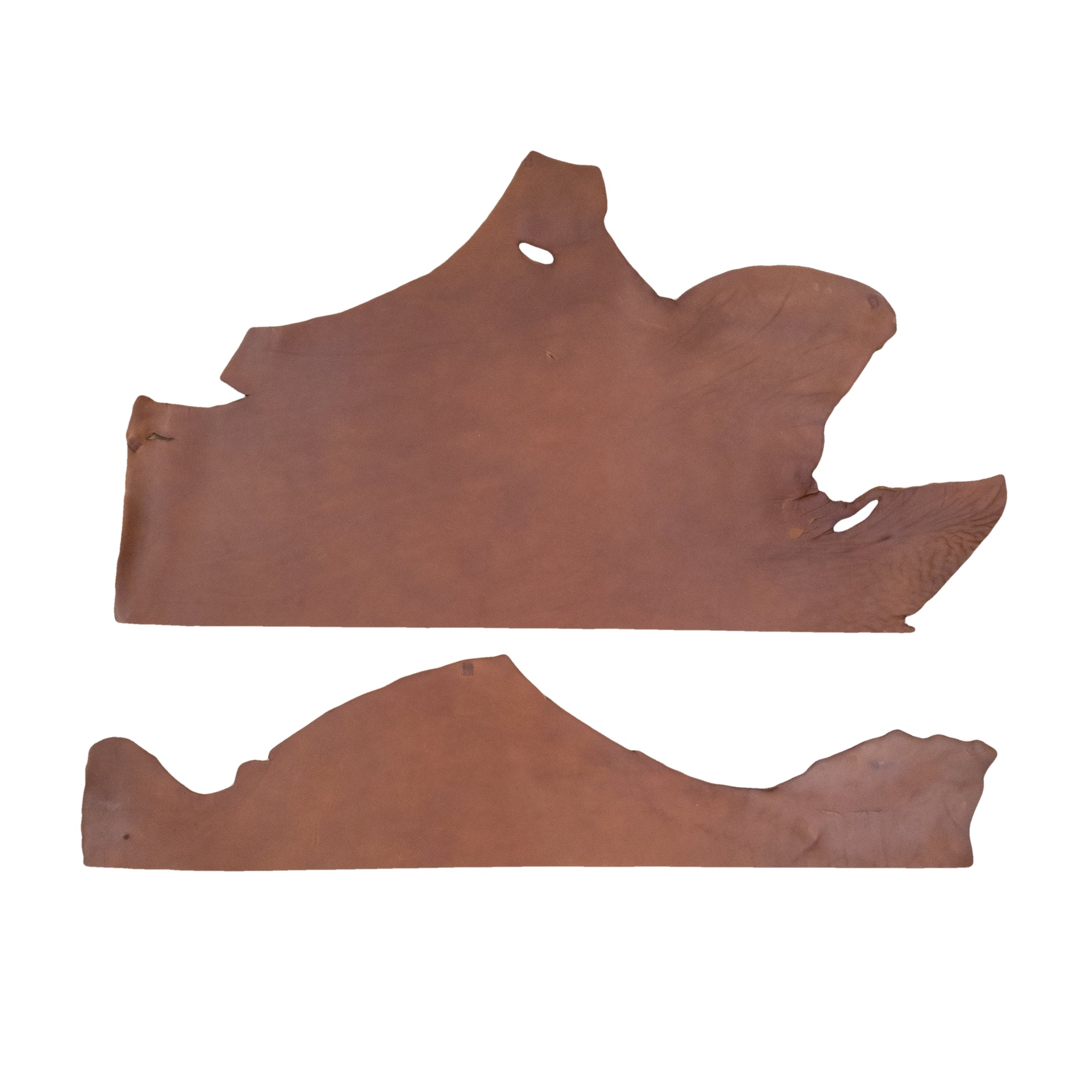 Black and Tobacco, 9-11 oz Bridle Bellies, 2-4 SqFt, Tobacco / Low-Grade / Small | The Leather Guy