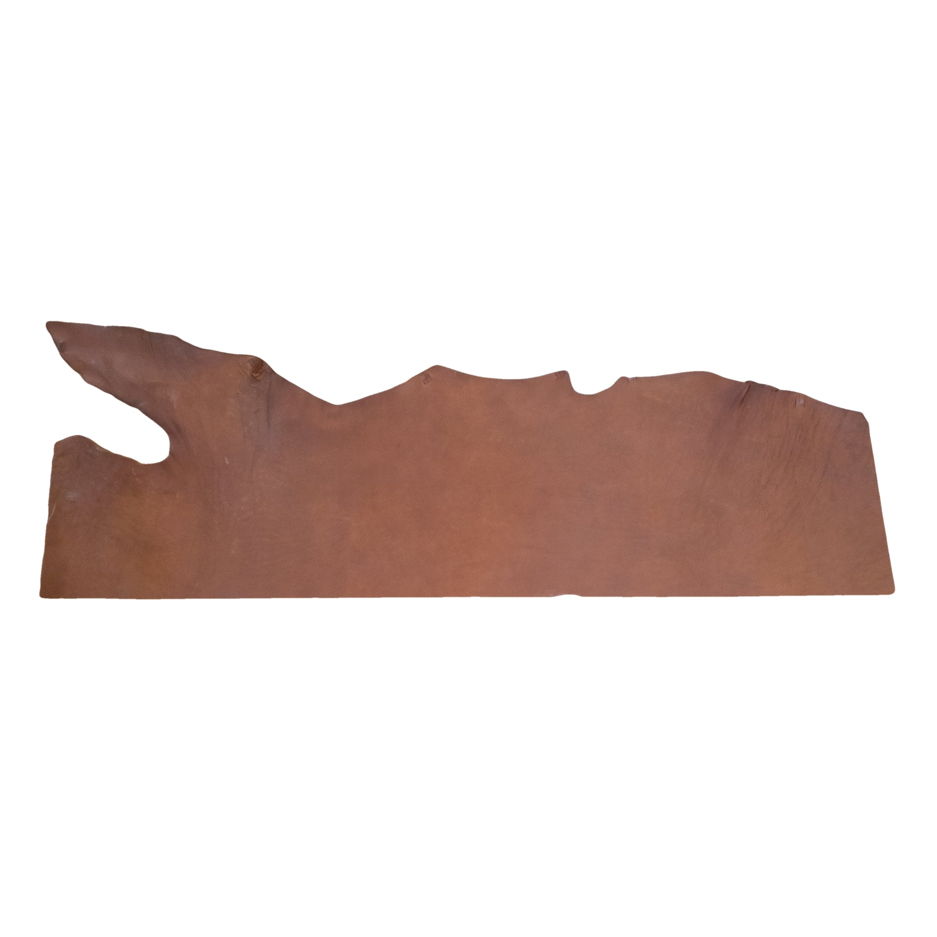 Black and Tobacco, 9-11 oz Bridle Bellies, 2-4 SqFt, Tobacco / Regular / Large | The Leather Guy