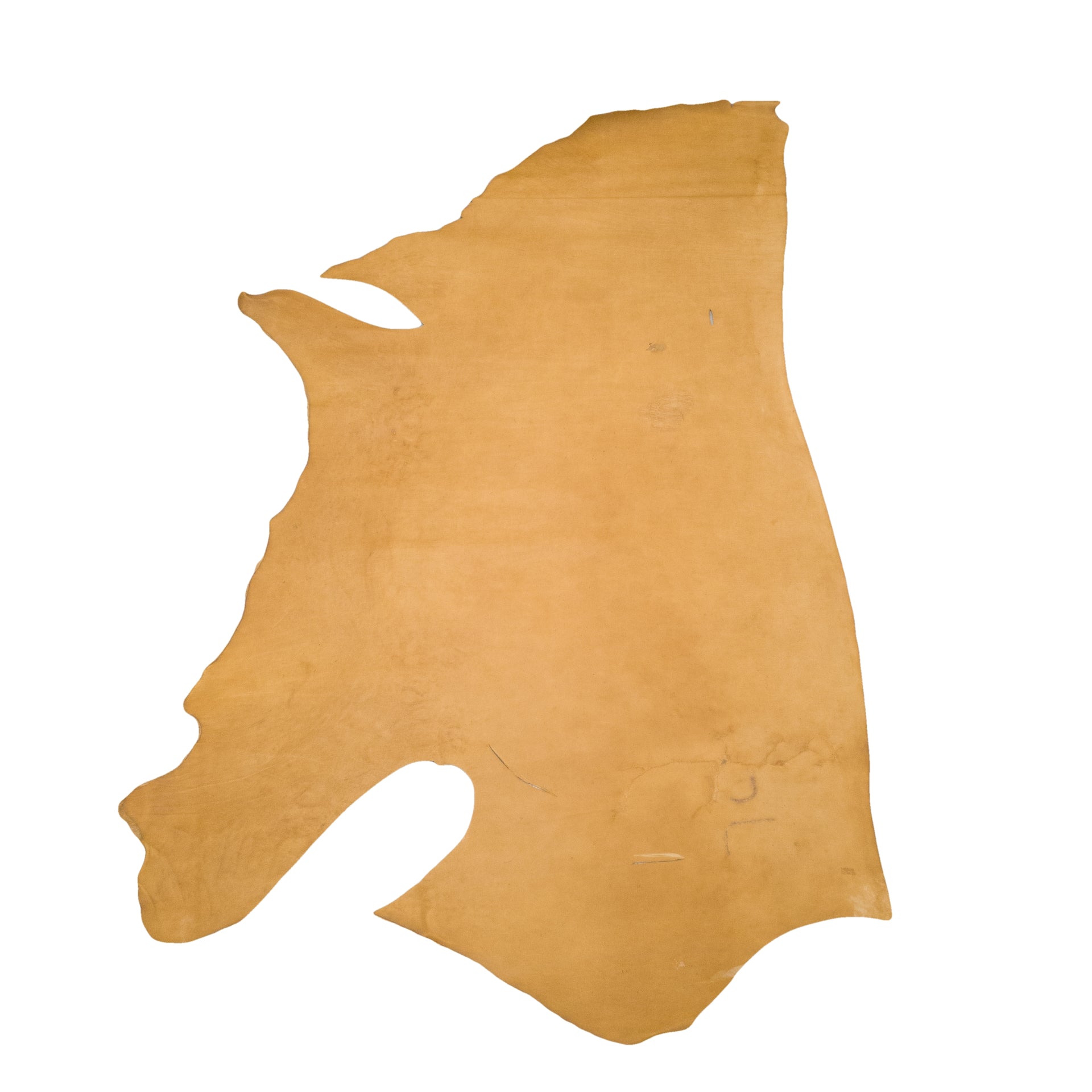 Single - Low Grade Oil Tan Sides Thin, 2-4 oz, 23 Sq Ft Average, Light Brown | The Leather Guy