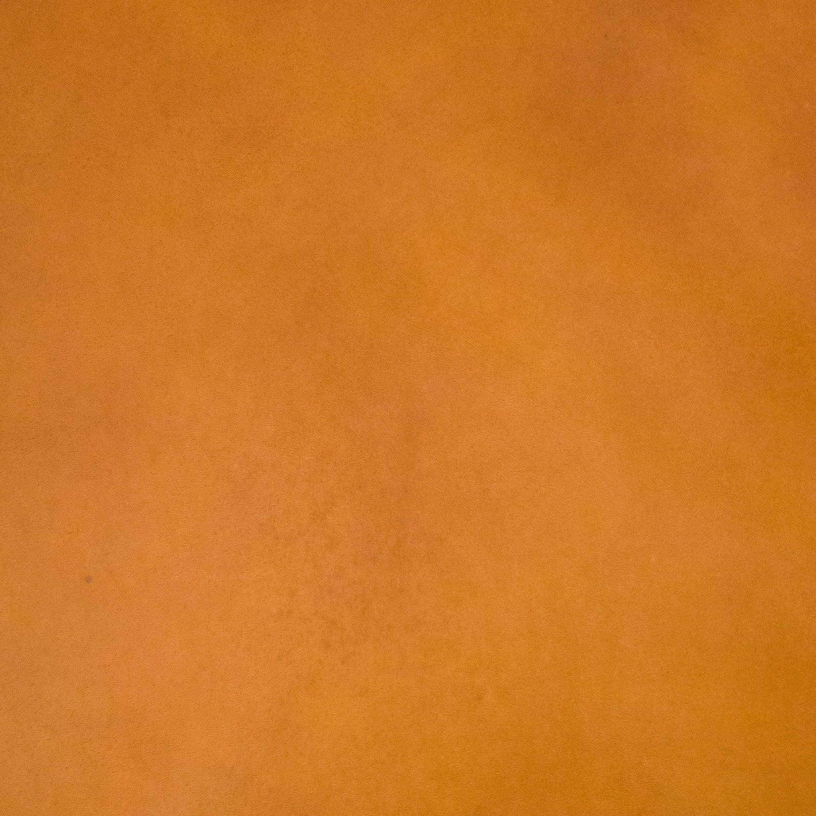 Stiff Rustic Light -Medium Brown Oil Tan Sides, 6-7 oz, 20-23 Sq Ft Average, | The Leather Guy