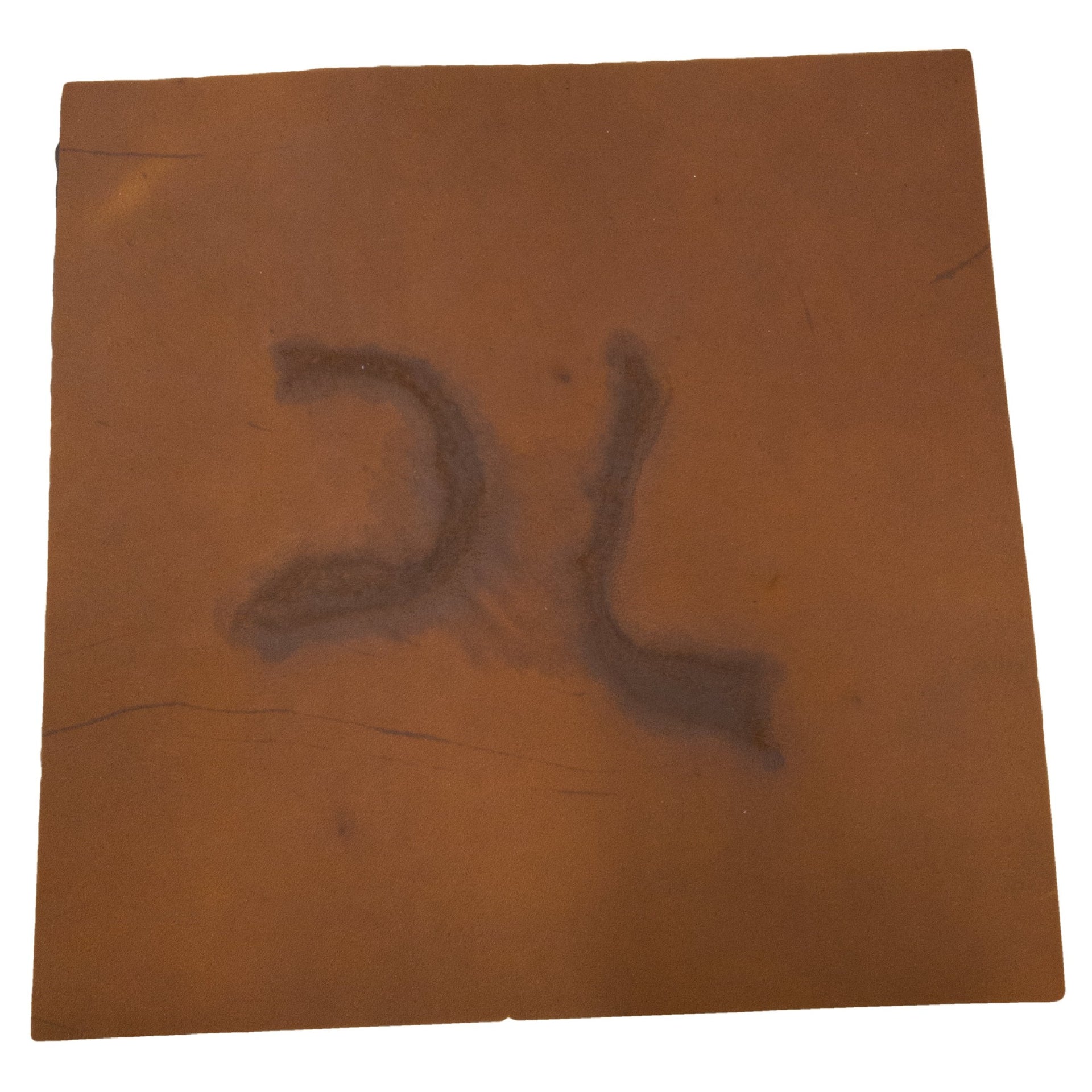 Grunge Branded Pre-cuts, 2-6 oz, Limited Stock Pre-cuts, (12"x12") Rustic Red Foothills )( | The Leather Guy