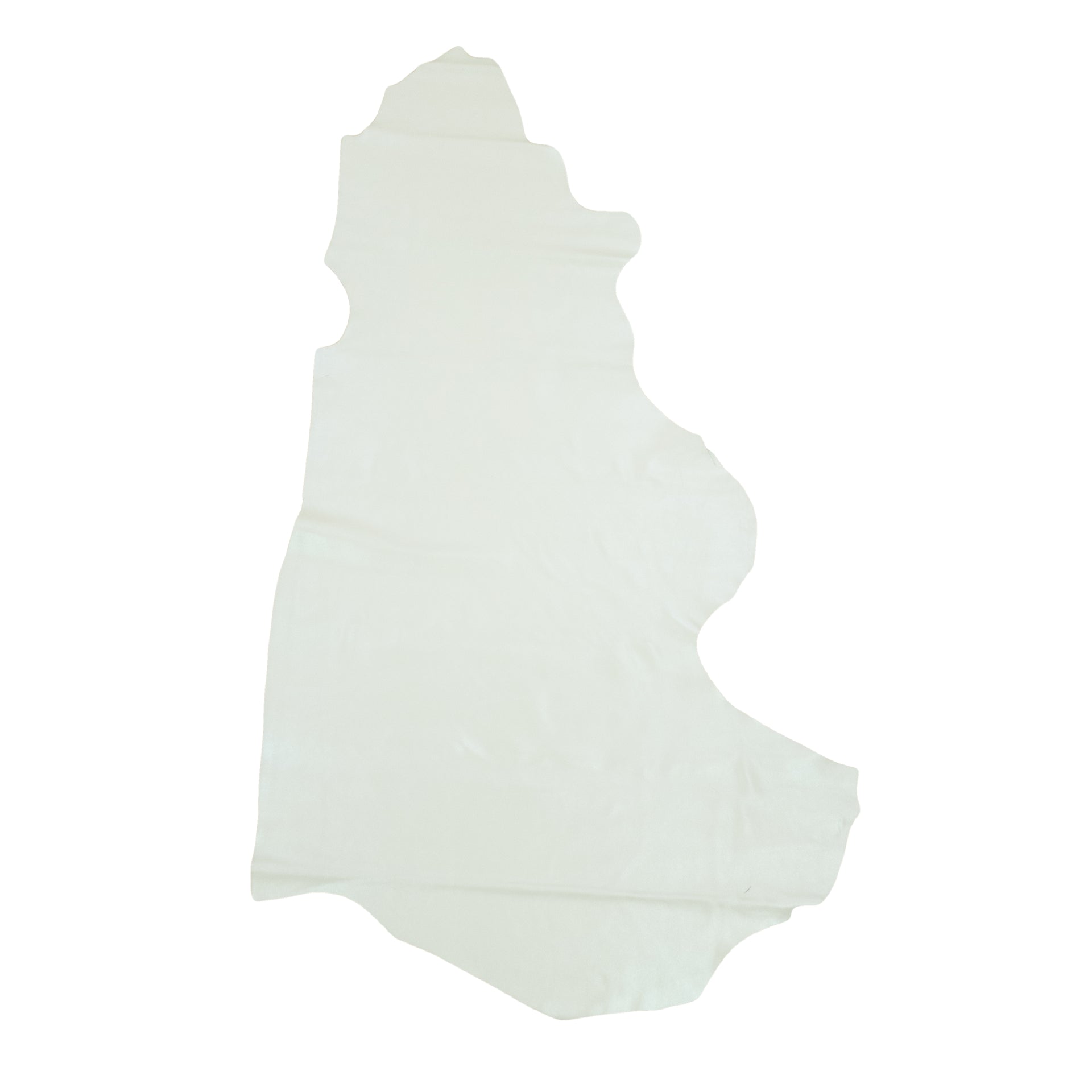Soft Green Cowhide Leather – Flat Grain 3–4 oz | Fern Gully, Side / 12 - 14 | The Leather Guy