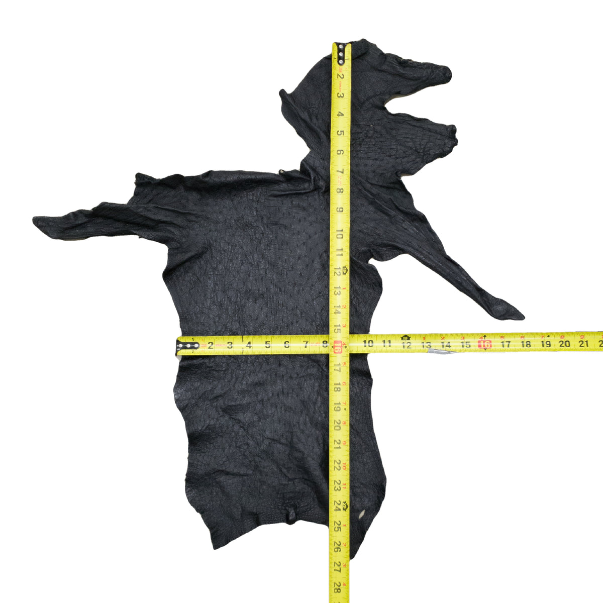 Ostrich, 1-2 Sq Ft, Project Pieces, Black / 1 Sq Ft / 6 | The Leather Guy