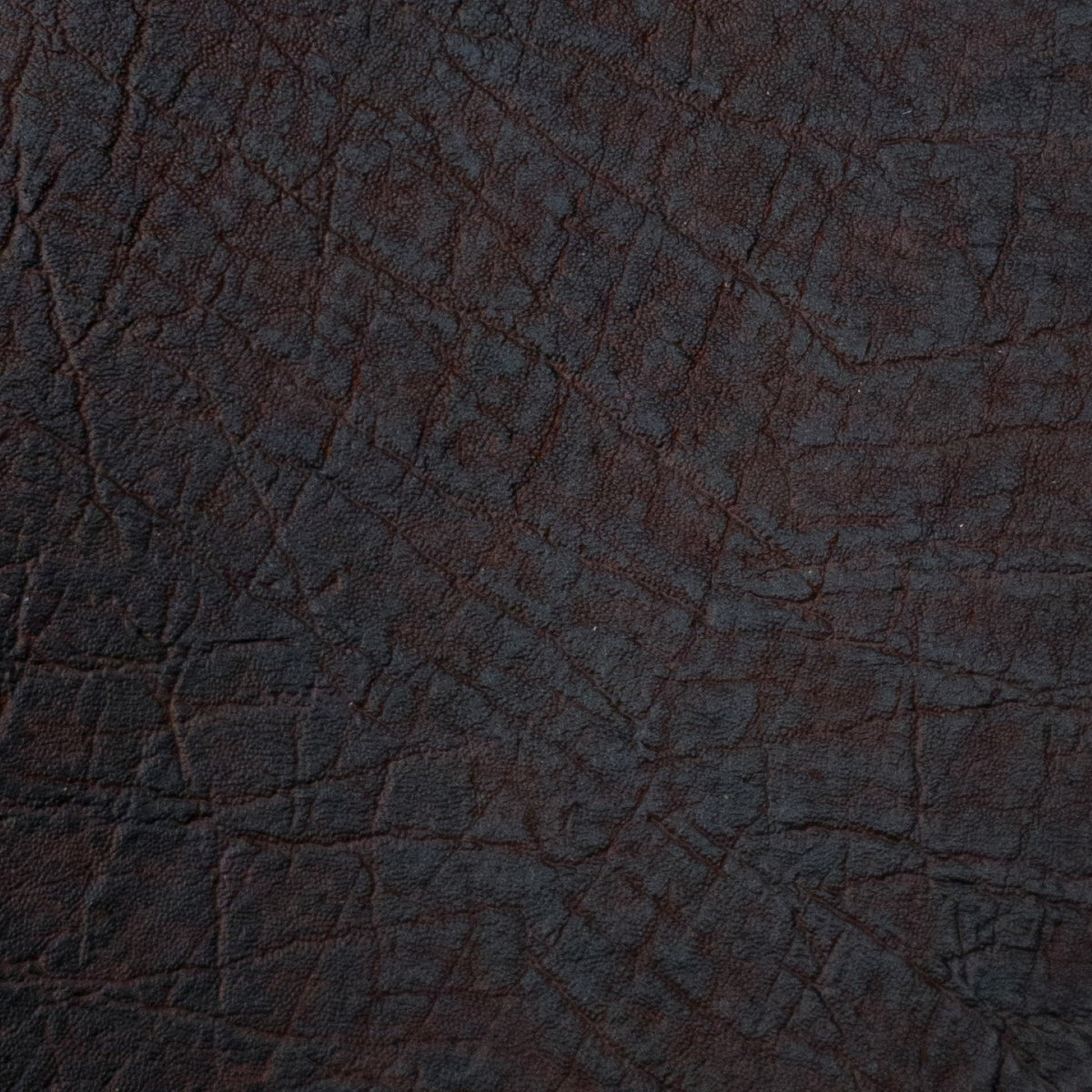 Chestnut Mesa Genuine Elephant Hides, 6-7 oz, 5-12 Sq Ft, | The Leather Guy