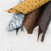 Genuine Ostrich Leather – Individually Photographed Project Pieces | Limited Stock, | The Leather Guy