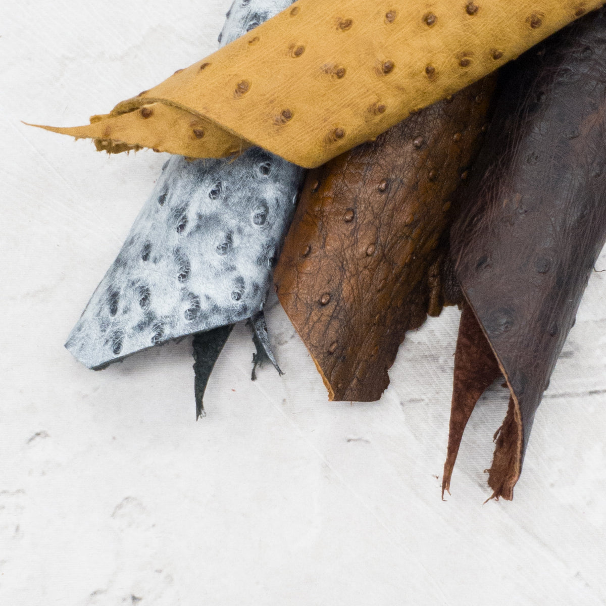 Genuine Ostrich Leather – Individually Photographed Project Pieces | Limited Stock, | The Leather Guy