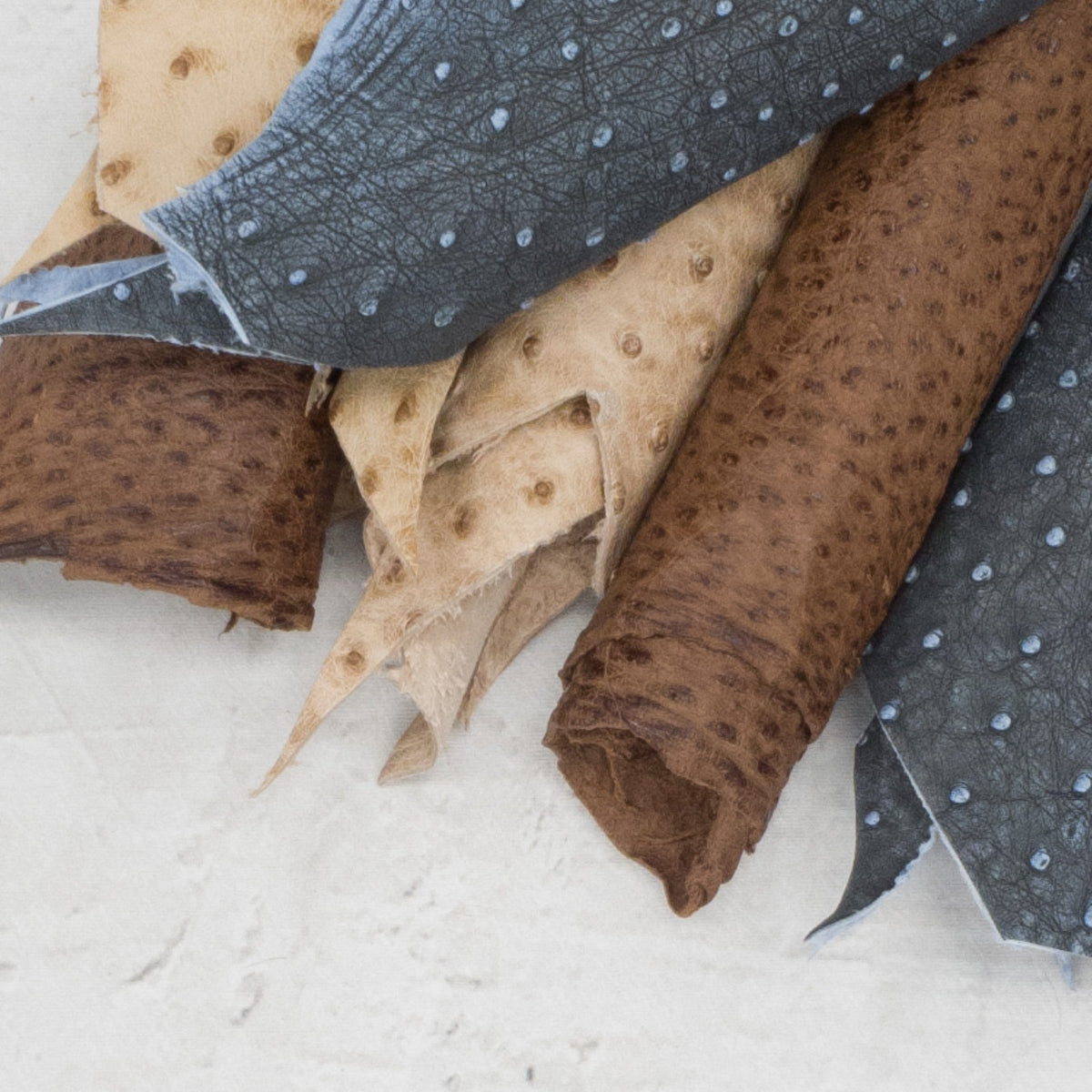 Genuine Ostrich Leather – Natural Quill Texture Project Pieces | Limited Stock, | The Leather Guy