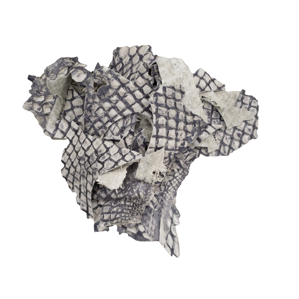 Pirarucu Fish Leather Scraps & Remnants – 3–6 oz, Cool Tones / Large Pieces / 1 lb | The Leather Guy