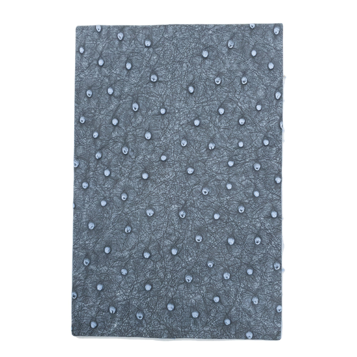 Genuine Ostrich Leather – Natural Grain Precut Sheets | Limited Stock, Light Denim / 4 x 6 | The Leather Guy