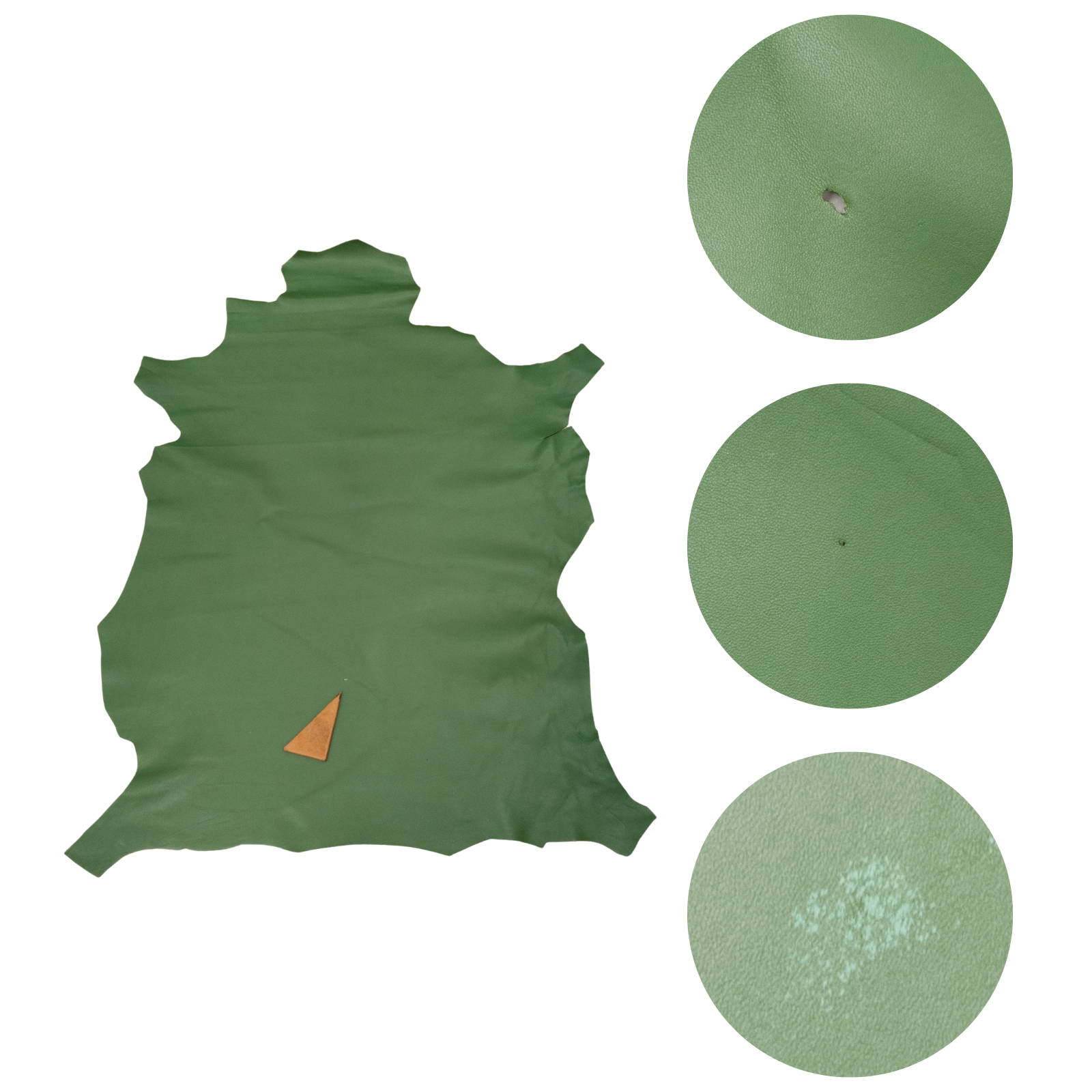 Greens, 3-8 Sq Ft, 2-3 oz, Lamb Hides | The Leather Guy