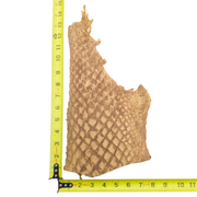 Pirarucu Amazon Bass Leather, Under 1 - 1 Sq Ft Project Pieces, Light Brown / Under 1 Sq Ft / 1 | The Leather Guy
