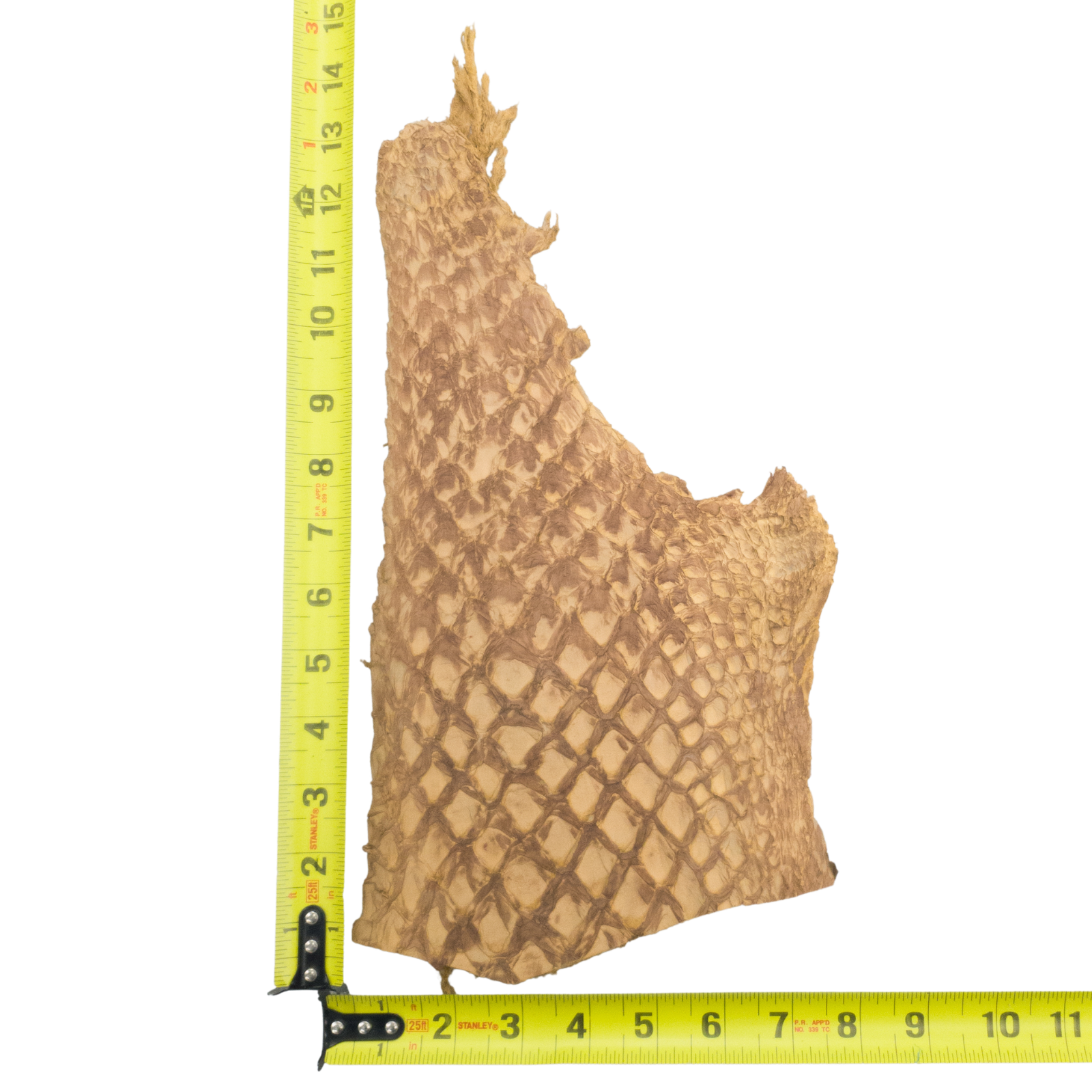 Pirarucu Amazon Bass Leather, Under 1 - 1 Sq Ft Project Pieces, Light Brown / Under 1 Sq Ft / 1 | The Leather Guy