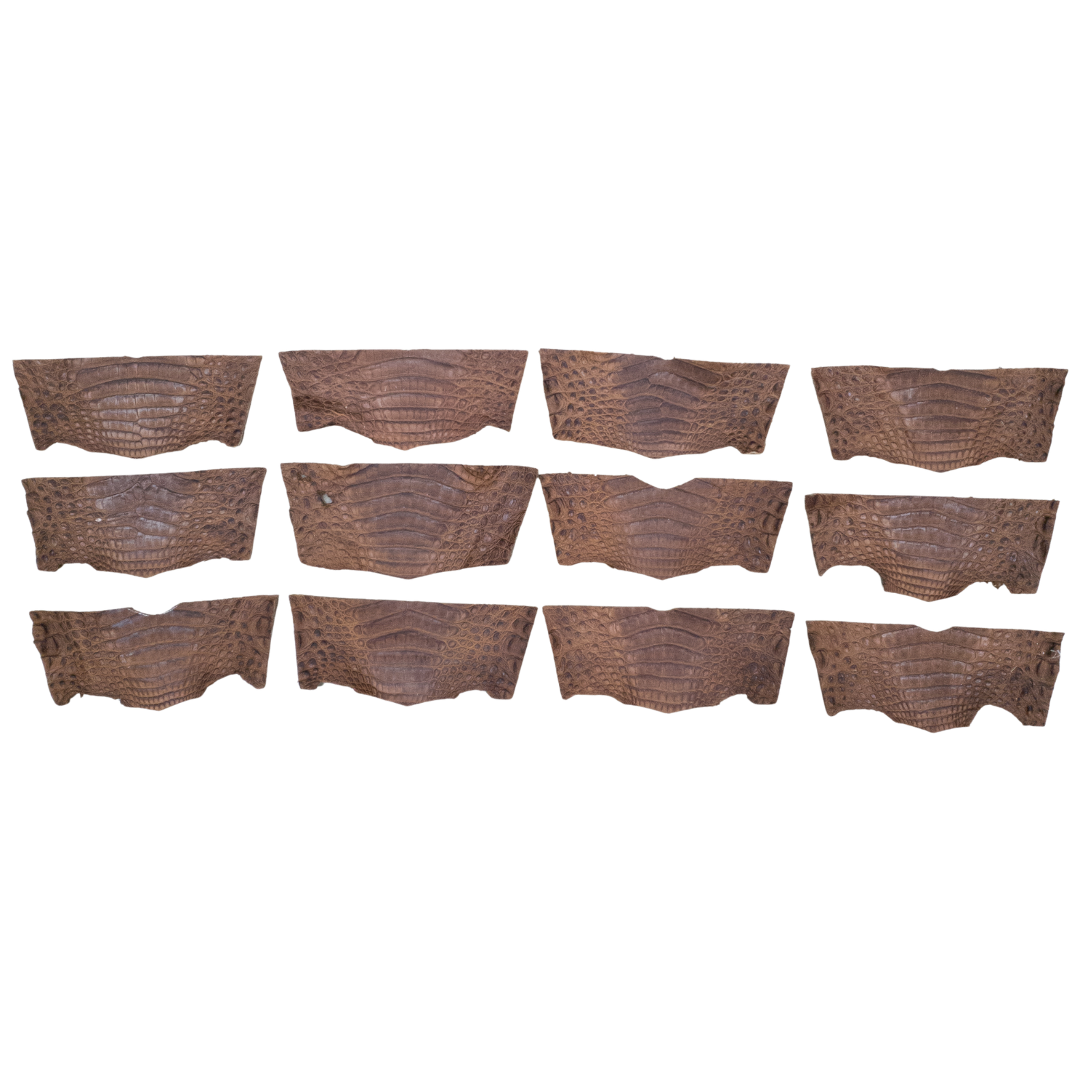 Caiman Project Piece Bundles, Various Colors Genuine Hide, Light Brown Bellies / 12 Pack / Small | The Leather Guy