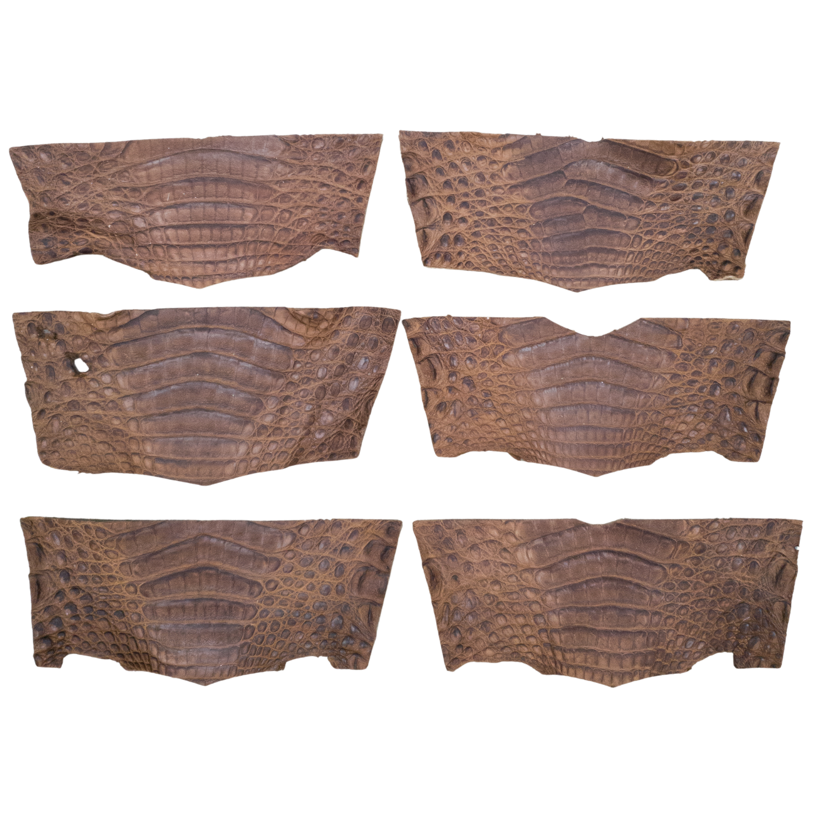 Caiman Project Piece Bundles, Various Colors Genuine Hide, Light Brown Bellies / 6 Pack / Small | The Leather Guy
