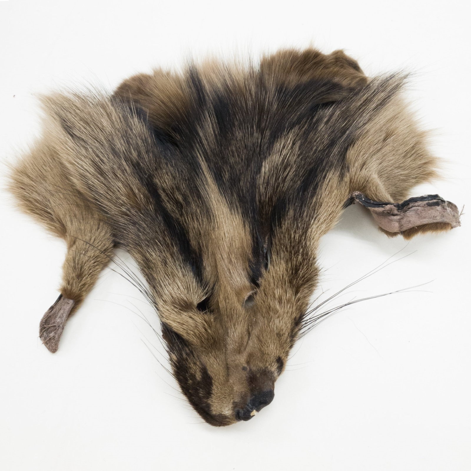Craft Grade Dyed Fur Face Remnants | Genuine Fur | The Leather Guy