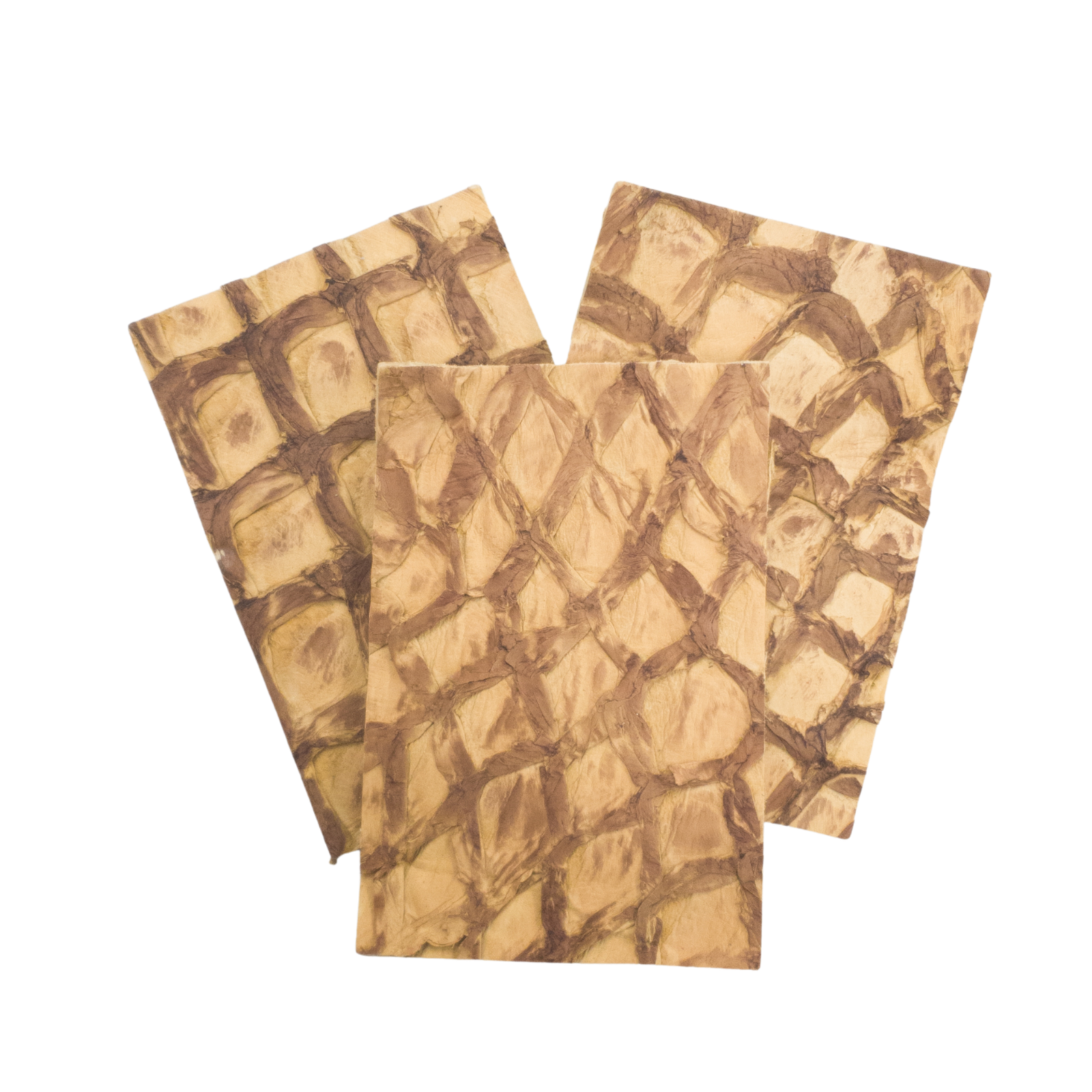 Pirarucu Amazon Bass , 5-7 oz, Nonstock Pre-cuts, Light Brown / 4 x 6 | The Leather Guy