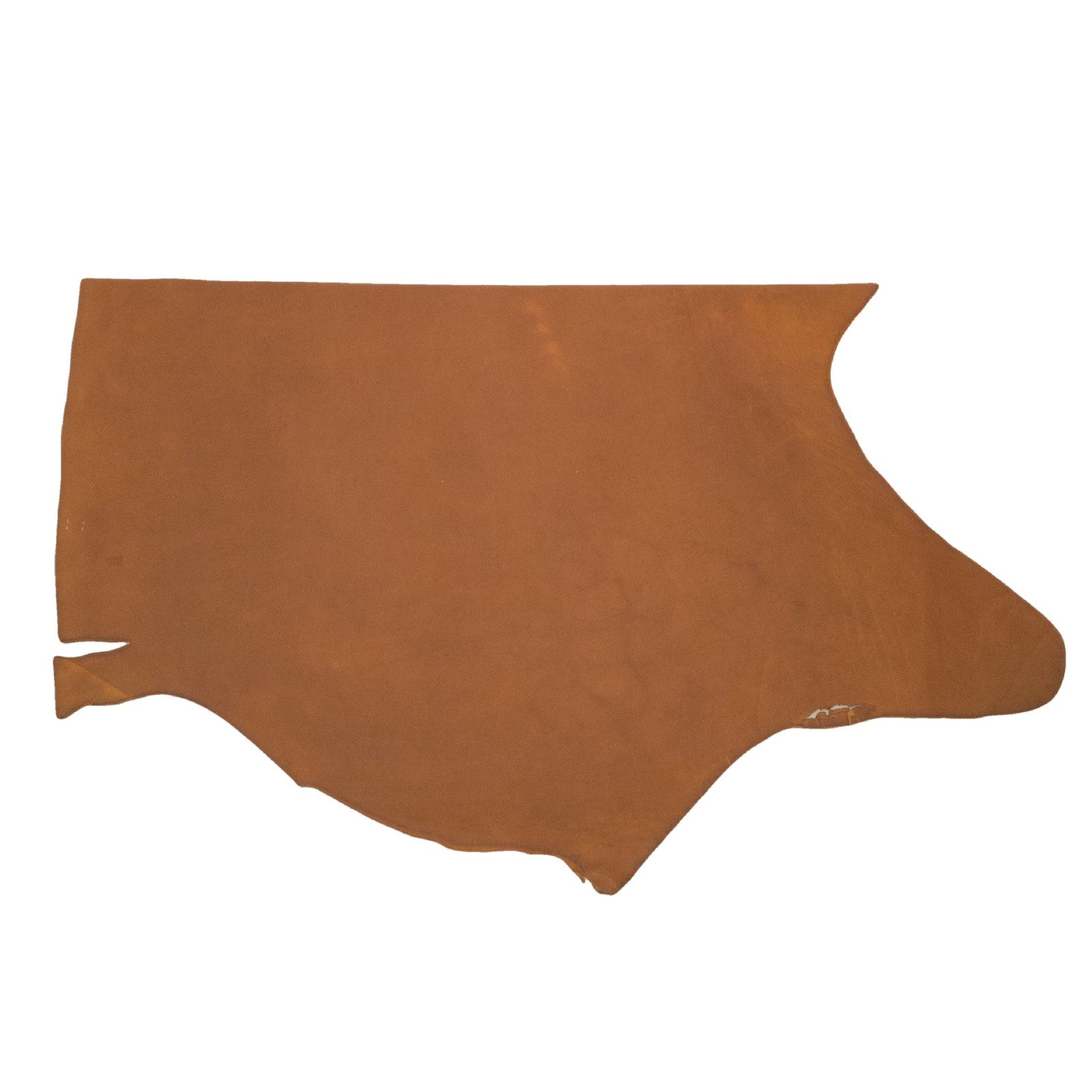 Authentic Light Oro Russet, SB Foot, Non-stock, 5-6oz, Oil Tanned Hides, Bottom Piece / 6.5 - 7.5 Sq Ft | The Leather Guy