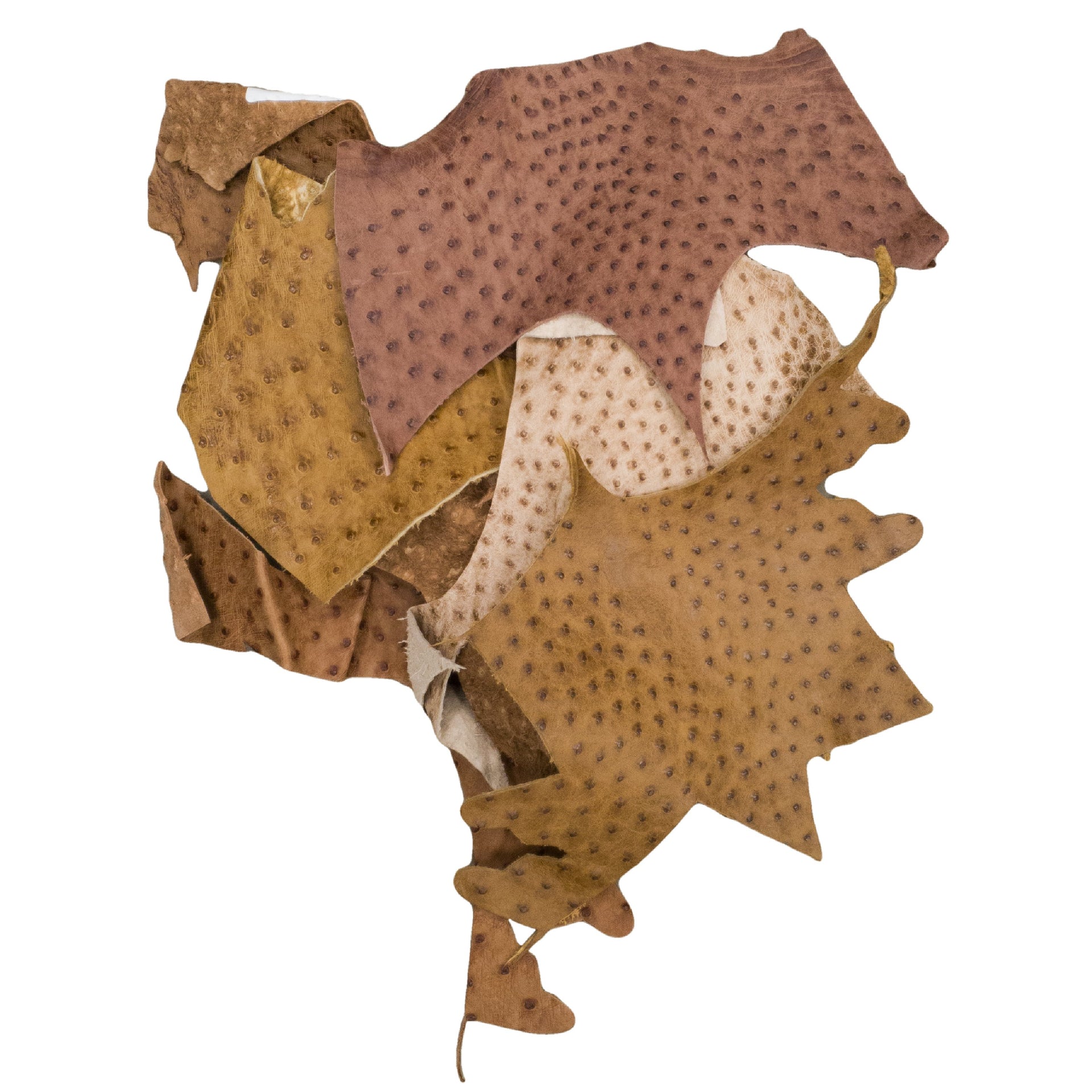 Genuine Ostrich Leather Scrap Remnant Bags- 1 - 3 oz Color Mix, Mix-Center Cut / Large Pieces / 1 lb | The Leather Guy