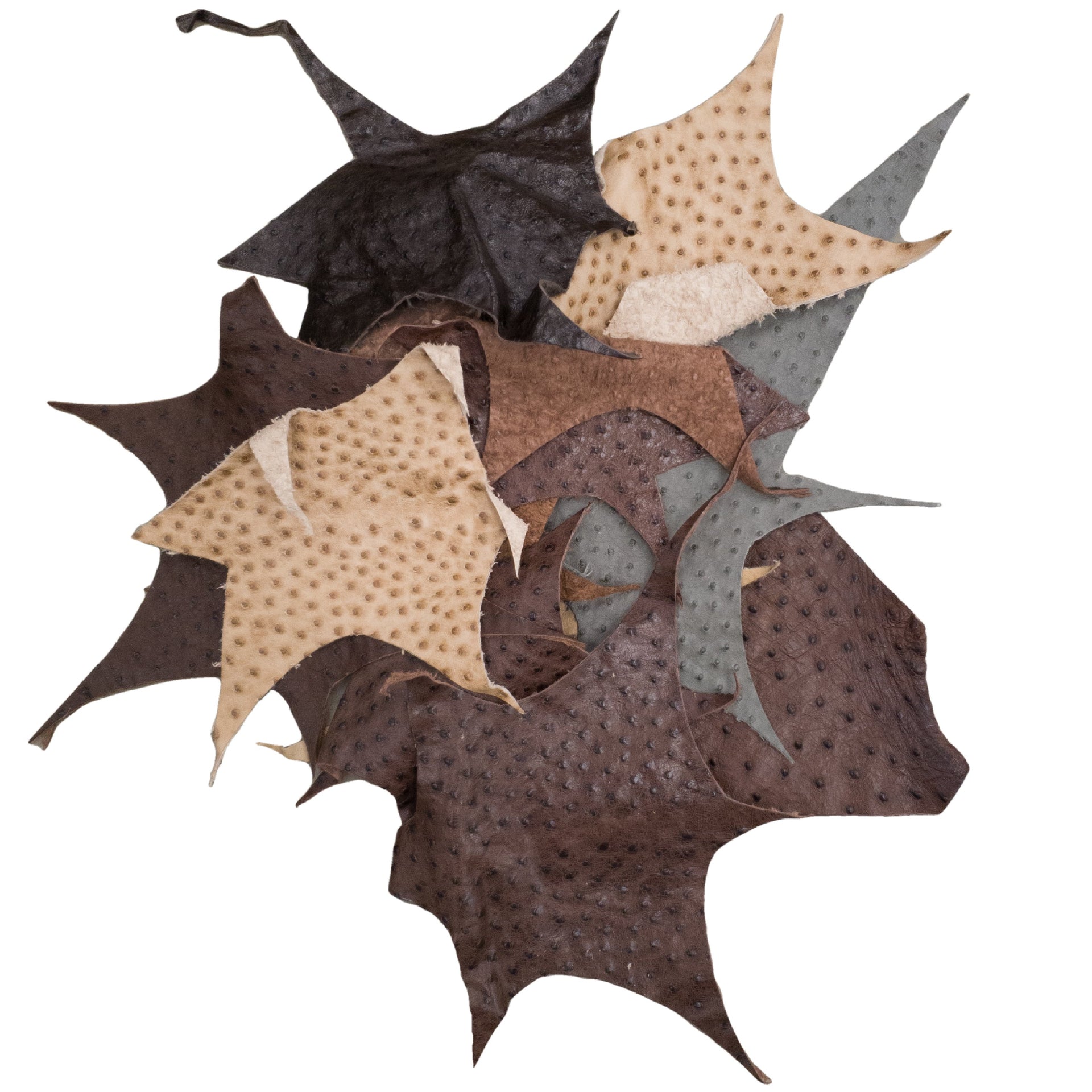 Genuine Ostrich Leather Scrap Remnant Bags- 1 - 3 oz Color Mix, Mix-Center Cut / Small Pieces / 1/2 lb | The Leather Guy