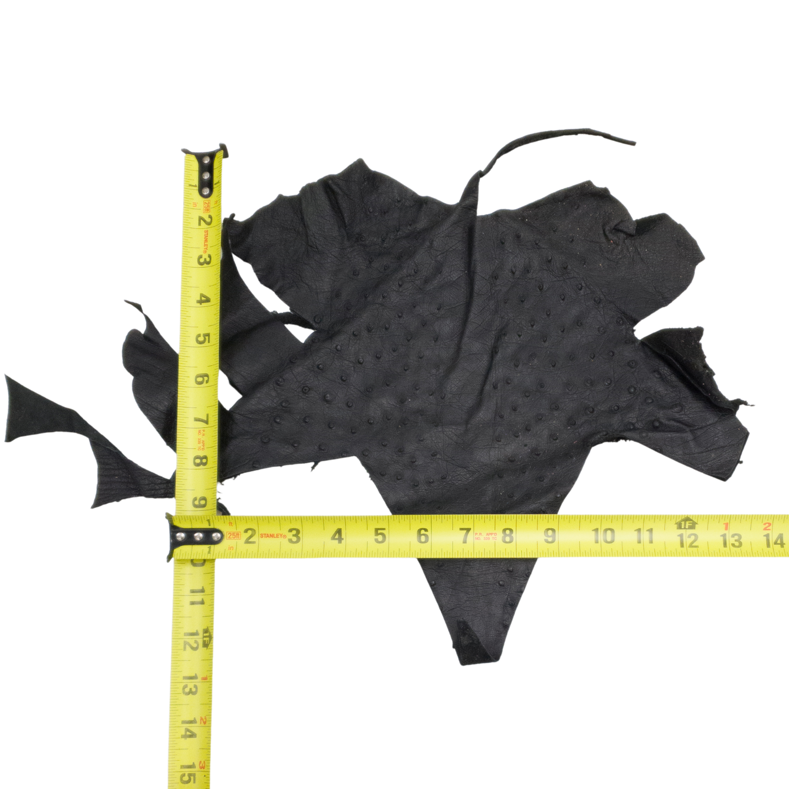 Ostrich, 1-2 Sq Ft, Project Pieces, Blacks / Under 1 Sq Ft / 1 | The Leather Guy